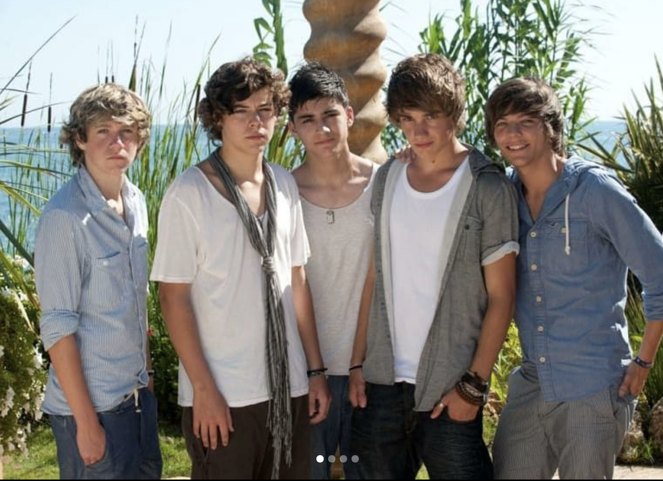 Niall, Harry, Zayn, Liam, and Louis, standing in front of a beautiful California backdrop in November.